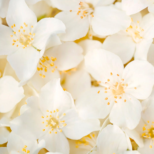 Aquavibe Lichia e Baunilha Body Splash 300ml Avon