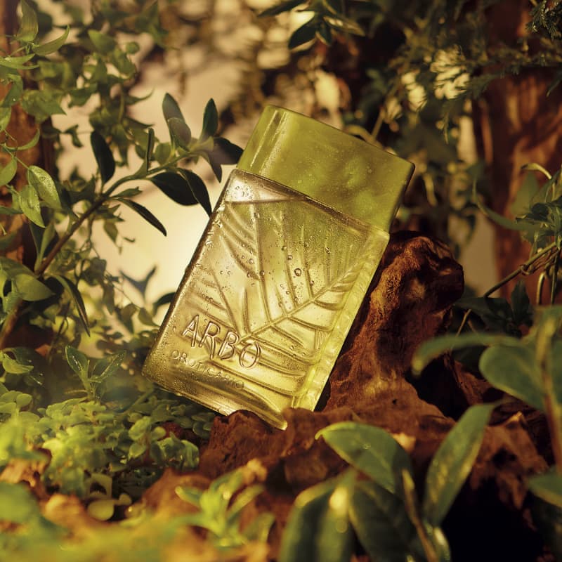 Arbo Forest Desodorante Colônia 100ml