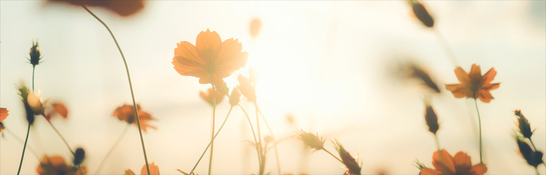 Tendências de Maquiagem da Primavera 2025