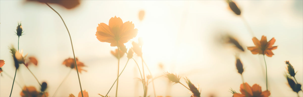 Tendências de Maquiagem da Primavera 2025