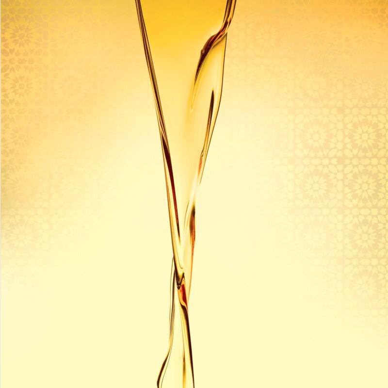 Óleo de Tratamento Hidratante Argan e Coco Advance Techniques By Avon 30ml