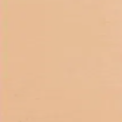 Base Líquida Satin 30g - Vizzela