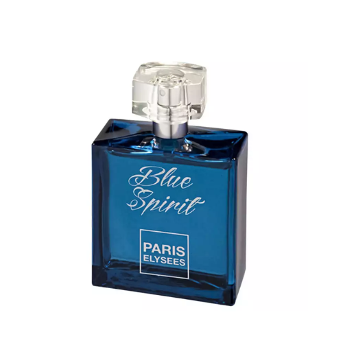 Blue Spirit Eau de Toilette Feminino 100ml - Paris Elysees