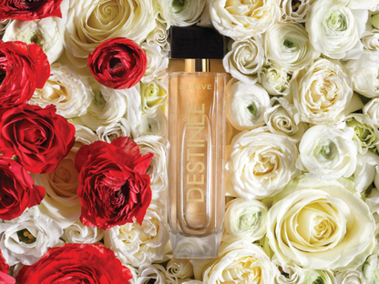 Destinée La Rive Eau de Parfum 90ml - La Rive