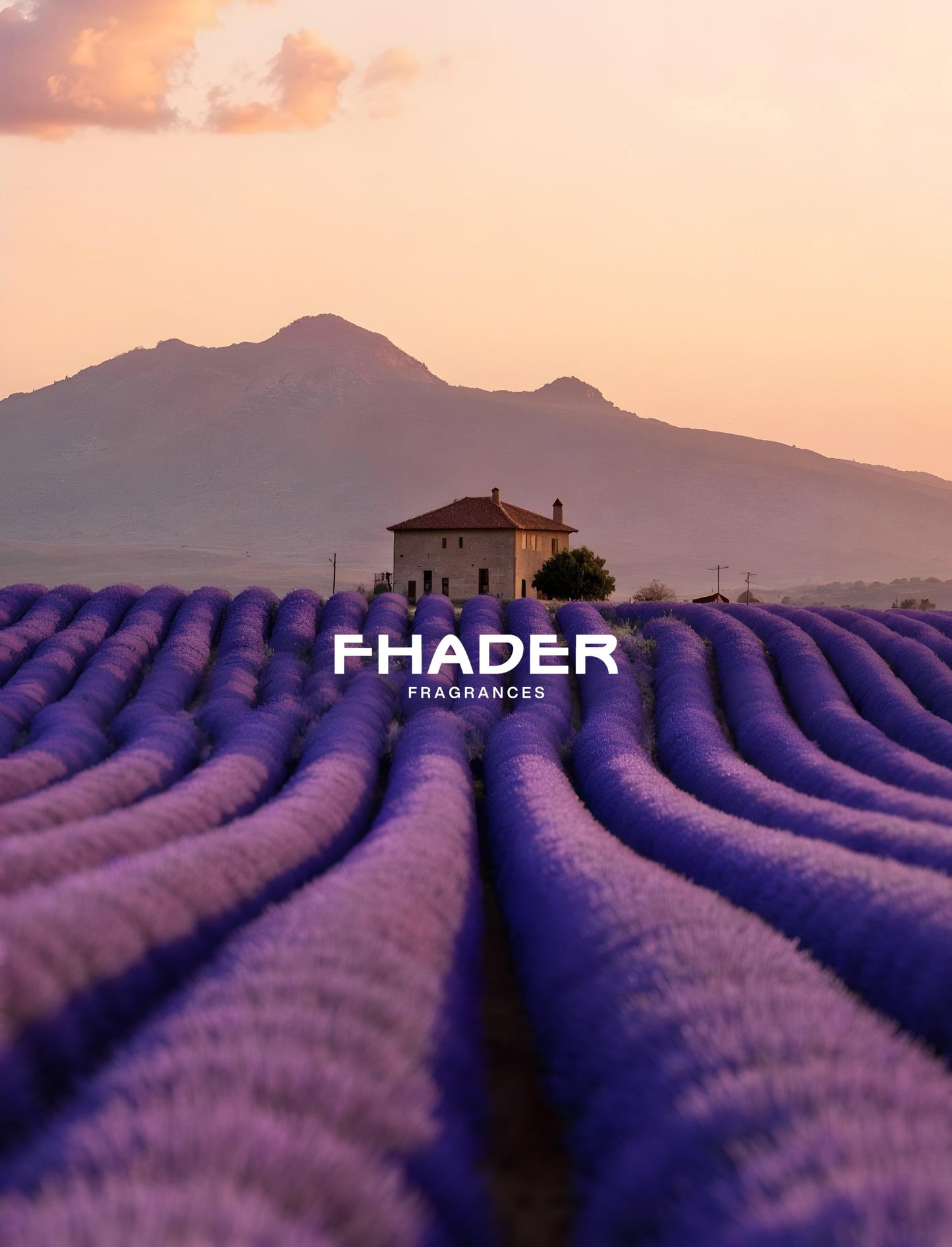 La Belle Eau de Parfum Feminino - FHADER